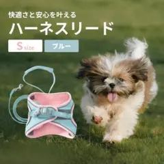 犬猫兼用 ハーネス リード 小型犬 胴輪 ペット　マジックテープ　ブルー　S