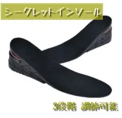 3段階 調節可能 黒 シークレット 中敷き インソール エアクッション