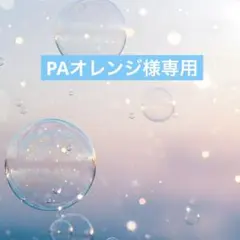 PAオレンジ様専用