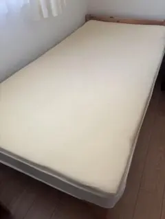 トゥルースリーパープレミアム　シングル