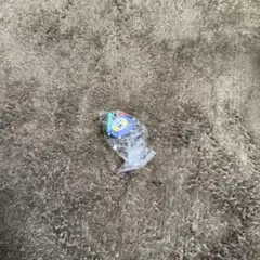 TRUZ めじるしアクセサリー　ラメver WOOPY