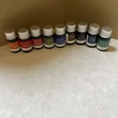 Item thumbnail for item f1a252cf-cf5f-40b6-9dae-98c834204910