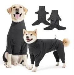 Item thumbnail for item c35191b0-ca2c-4fef-add6-4adfc0c86ece