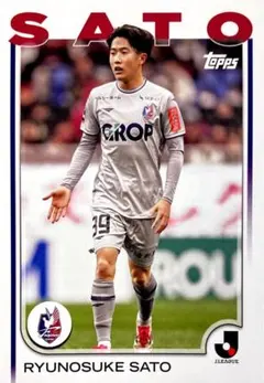 ぺろちゃん様 リクエスト 10点 まとめ商品