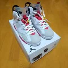 AIR JORDAN 6 NEUTRAL GREY 