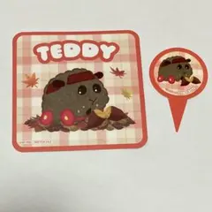テディ PUI PUI モルカー ステラマップカフェ コースター ピック