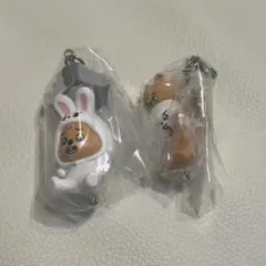 straykids リノ ハン つまんでつなげてますこっと 2