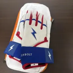 Item thumbnail for item b0e7d394-ea25-44c0-8abe-1fdffca28c61