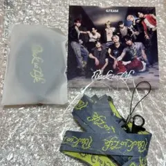 &TEAM Back to life 特典 ネックストラップ トレカ