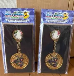 ポケモンEXTRA STAGE 2026 メダルキーホルダー 2個セット