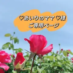 コインパールトグルブレスレット　淡水パールピアス　ペンダントトップ　パールリング