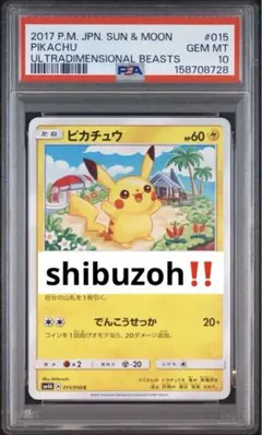 FINAL PRICE‼️ 超絶版希少‼️ PSA10 シブゾー　ピカチュウ　015 FINAL PRICE‼️ 超絶版希少‼️ PSA10 シブゾー ピカチュウ 015 - メルカリ