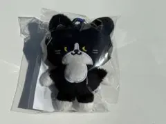 2026年最新】superjunior ぬいぐるみの人気アイテム - メルカリ