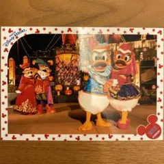 ディズニー スペシャルフォト ドナルド デイジー ミッキー ミニー 2013