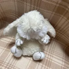 AQUA うさぎ ぬいぐるみ ホワイトのサムネイル