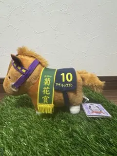 2025年最新】マヤノトップガンぬいぐるみの人気アイテム - メルカリ