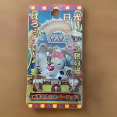 ご当地キティ2004年日光眠り猫などファスナーマスコット6個セット ハローキティ ご当地 栃木 日光 眠り猫 ファスナーマスコット ご当地