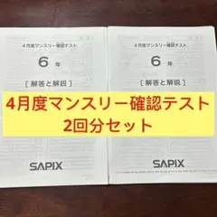 2026年最新】sapix 組分けテスト 4年の人気アイテム - メルカリ