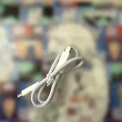 APPLE THUNDERBOLT 2 0.5m ケーブル