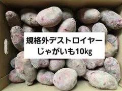 残りわずか！長崎県産規格外デストロイヤーじゃがいも10㎏のサムネイル