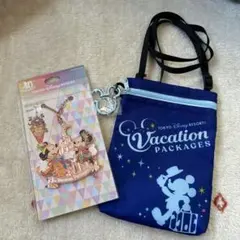 東京ディズニーリゾート バケーションパッケージポーチandバッグチャーム