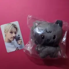 ATEEZ ウヨン TINY ANITEEZ PLUSH DOLL トレカ付き
