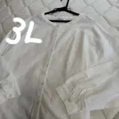 【美品】Re−J＆SUPUREトップス大きめサイズ3L