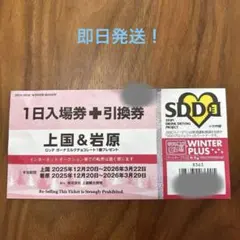 2026年最新】岩原スキー場の人気アイテム - メルカリ
