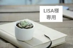 LISA様　専用