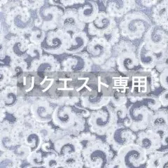 ettsuman様 リクエスト 2点 まとめ商品