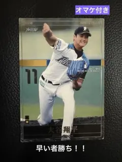 大谷翔平 オーナーズリーグ STAR OL18 064/144 - メルカリ