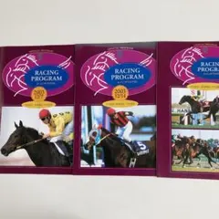 レーシングプログラム 趣味