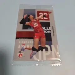 女子バレーウエハース 北窓絢音 バレーボール日本代表