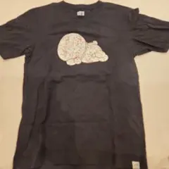 Item thumbnail for item 2613fe6a-5950-495b-ae93-3e3d51e844c2