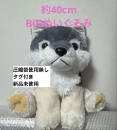 2026年最新】もふっとオオカミの人気アイテム - メルカリ