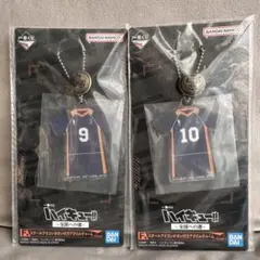 スクールアイコンボタン付きアクリルチャーム ハイキュー 日向 影山 翔陽 F賞