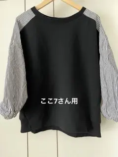 Item thumbnail for item 655daab9-c6f1-464e-8509-044a64d46997