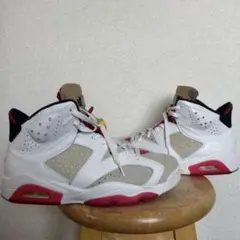 NIKE AIR JORDAN 6 “Neutral Grey/Hare”のサムネイル