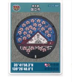 Item thumbnail for item 1e39beed-8fa8-4eba-b252-6e25d25f3d74