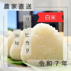 冷めてもおいしいこしひかり 白米 20キロ 2025年米 おにぎり・お弁当 冷めてもおいしいこしひかり 白米 20キロ 2025年米 おにぎり・お弁当