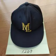 Item thumbnail for item c3486022-d853-4bee-9d24-b3948aa0d4a4