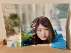 Item thumbnail for item 77b34276-0abd-42c9-b6fd-78ae618a28d2