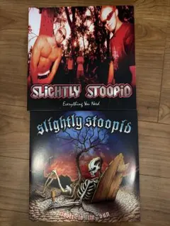 Slightly Stoopid Everything You Needレコード