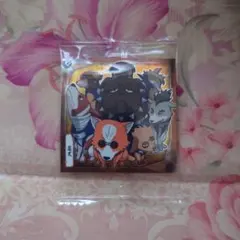 NARUTO　シールウエハースVol.5　忍犬