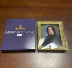 ハリーポッター　肖像画マグネットコレクション　スネイプ　マホウドコロのサムネイル
