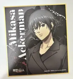 進撃の巨人 ミカサ 色紙 黒 カラ鉄 カラオケの鉄人