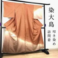 ZF-392 染大島 訪問着 叩き染 グラデーション上質 袷 お洒落 広衿のサムネイル
