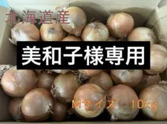 【美和子様専用】北海道産　玉ねぎ　Mサイズ　10kg