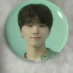 SEVENTEEN マグネット DINO