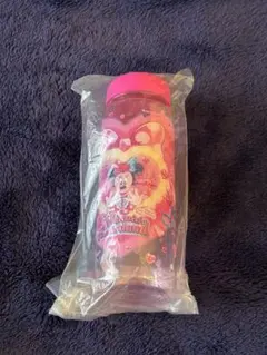 東京ディズニーランド　パルパルーザ　ミニーマウス ドリンクボトル 500ml